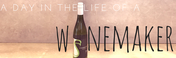 Winemaker Blog 2 graphic