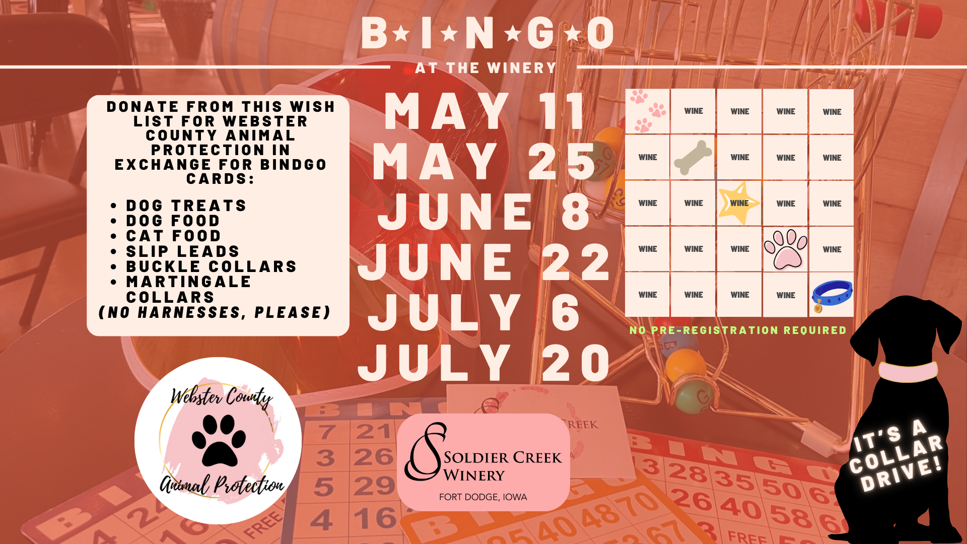 Event flyer for Bingo at the Winery supporting Webster County Animal Protection. Participants earn bingo cards by donating items from a pet-focused wish list. Dates listed are May 11 & 25, June 8 & 22, and July 6 & 20. Includes a bingo card with wine-related icons and a silhouette of a dog that says “It’s a collar drive!” Background features bingo balls, a chair, and wine barrels.